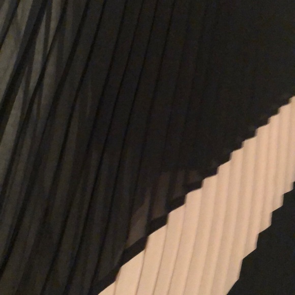 Sheer Pleated Dress with Slip - Picture 3 of 3